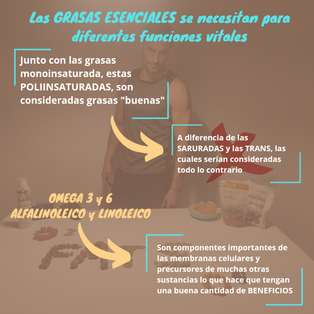 1661679334501 planes nutricionales 1661679334501 planes nutricionales
