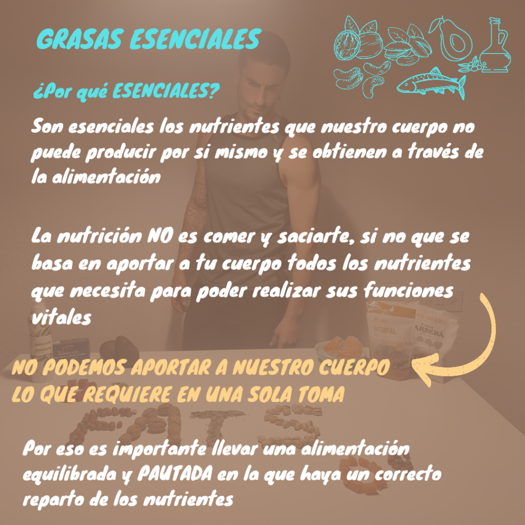 1661679334560 planes nutricionales 1661679334560 planes nutricionales